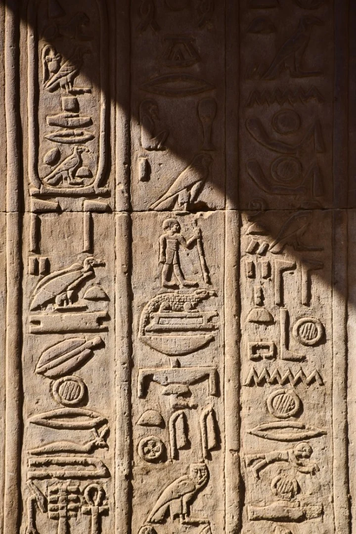 moxin-wang-KCow0ZygBEA-unsplash - 由 PicHub.App 上传的图片